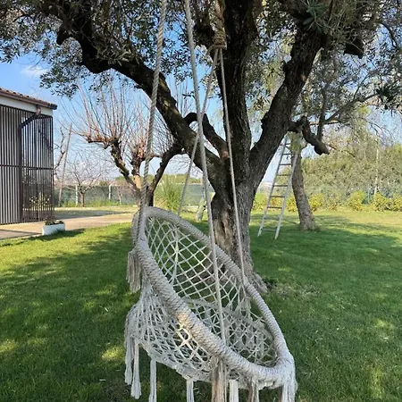 Ferienhaus La Mala Fede Di Lela *
